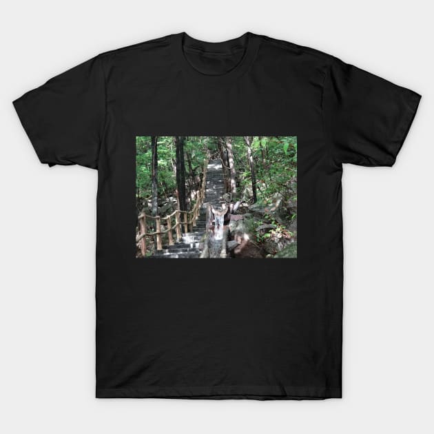 Pathways Collection 1 T-Shirt by ALifeSavored
